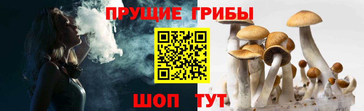 Галлюциногенные грибы Psilocybine cubensis Тихорецк